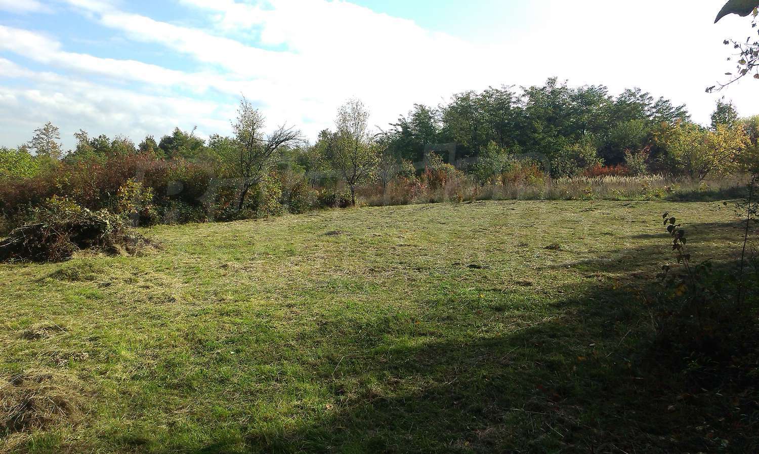 Gallery Picture 11