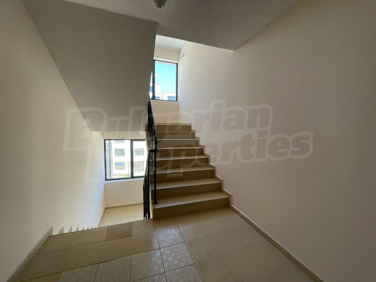 Gallery Picture 29