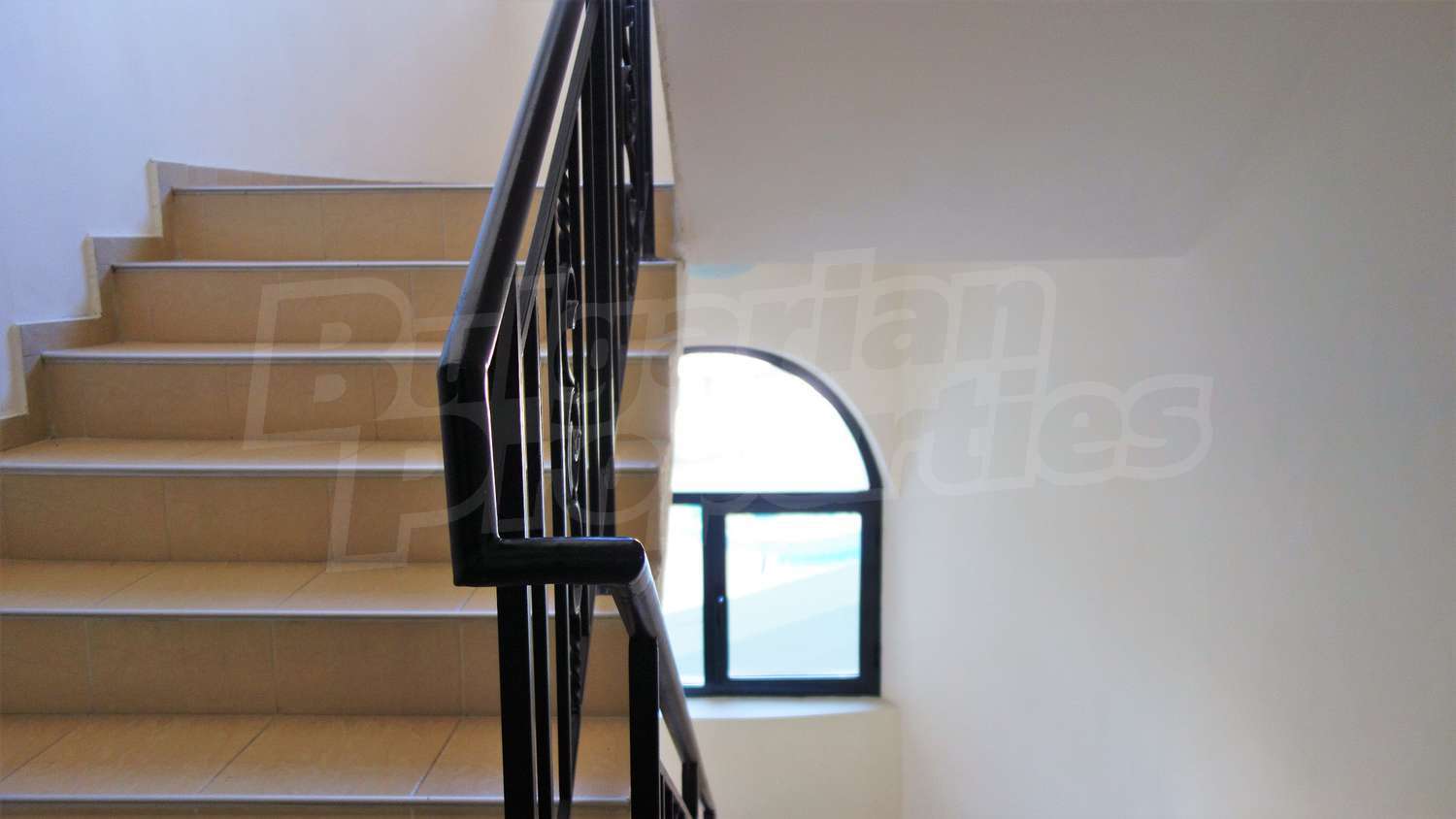 Gallery Picture 31
