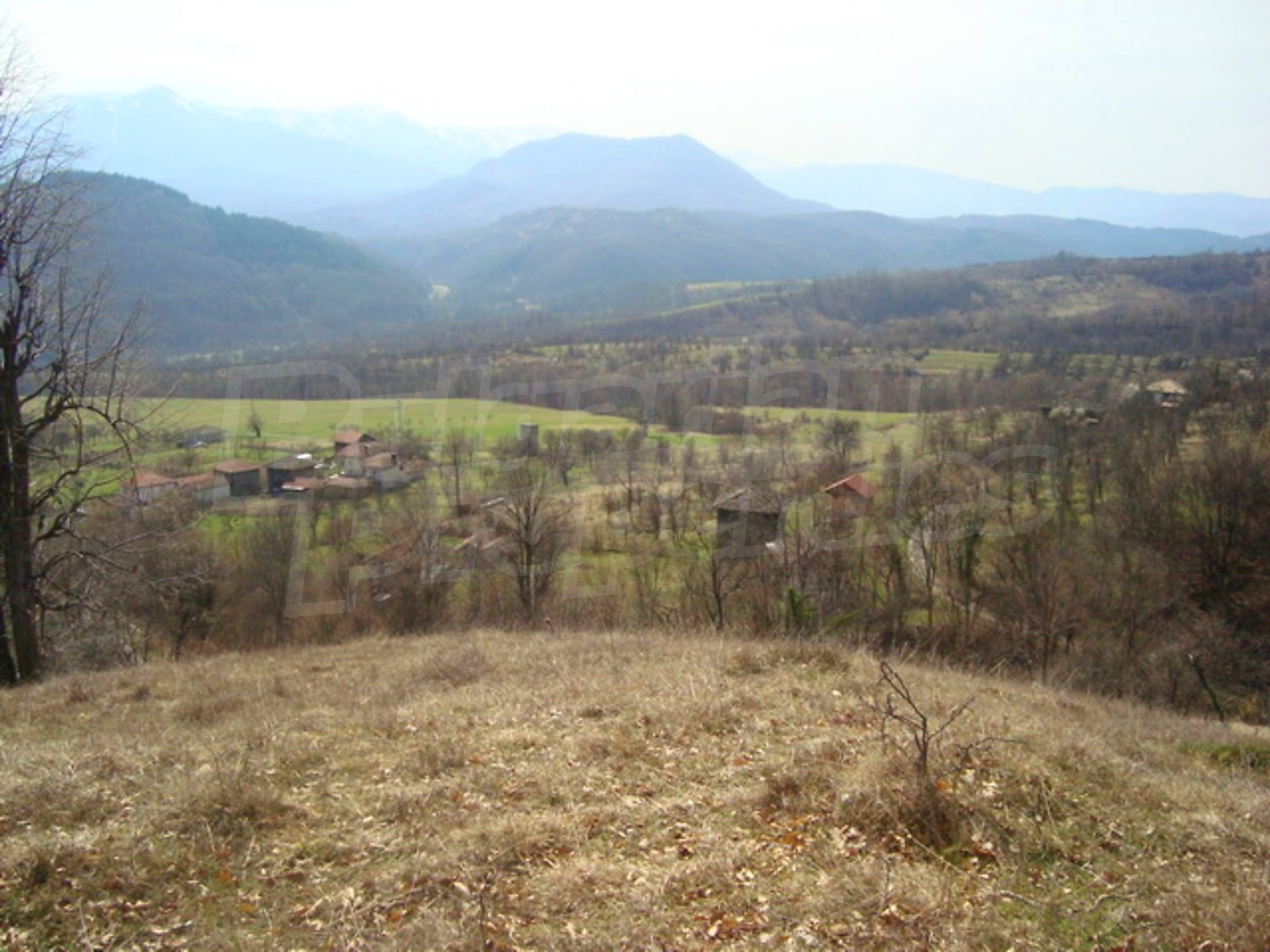 Gallery Picture 10