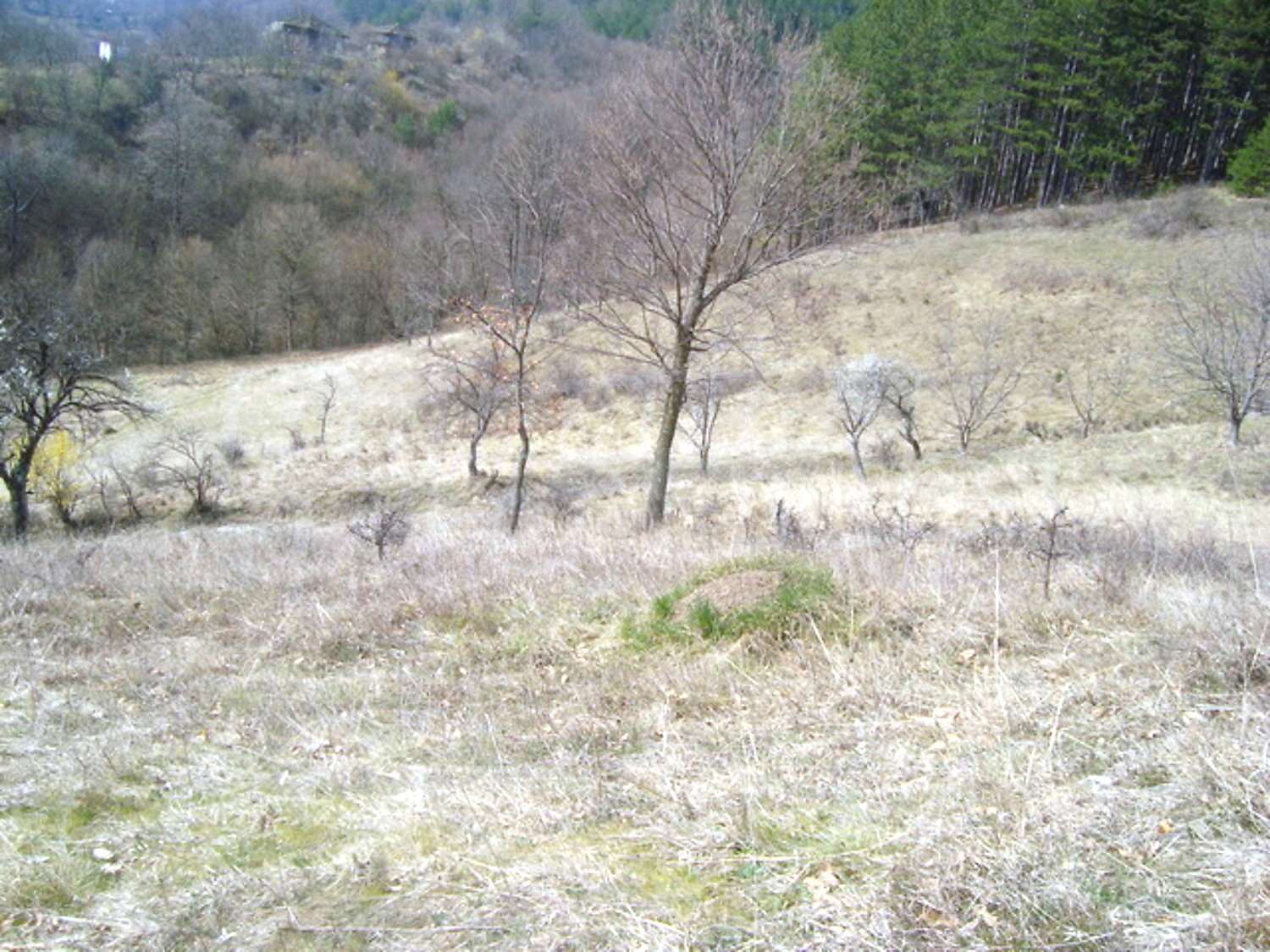 Gallery Picture 11