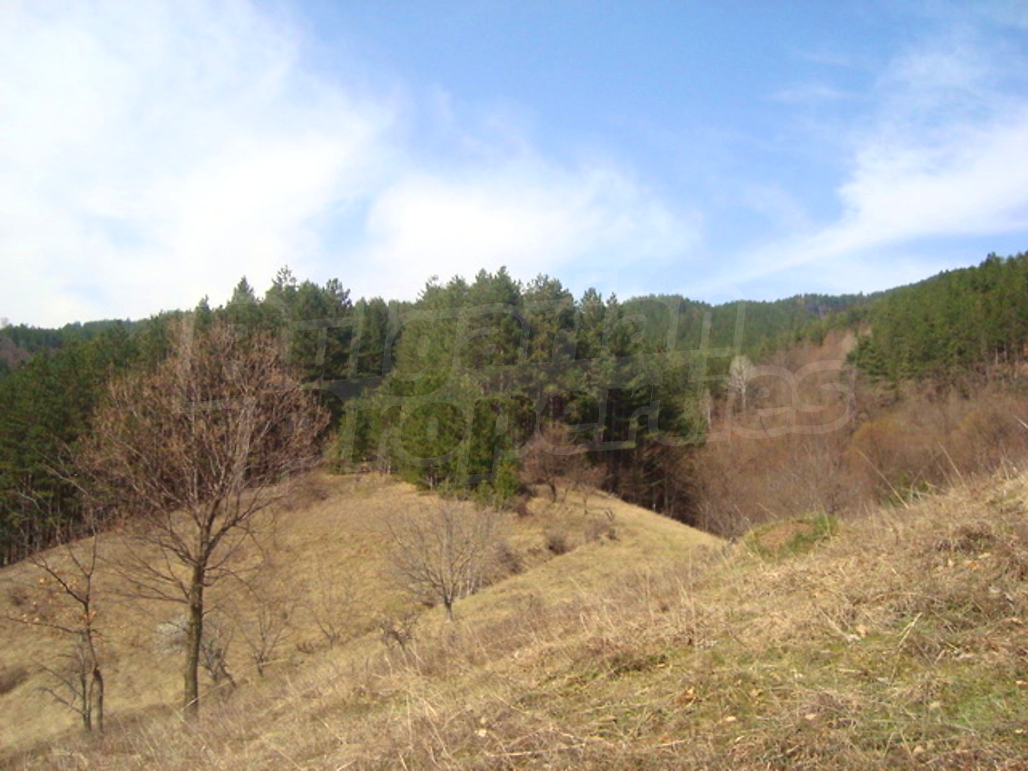 Gallery Picture 13
