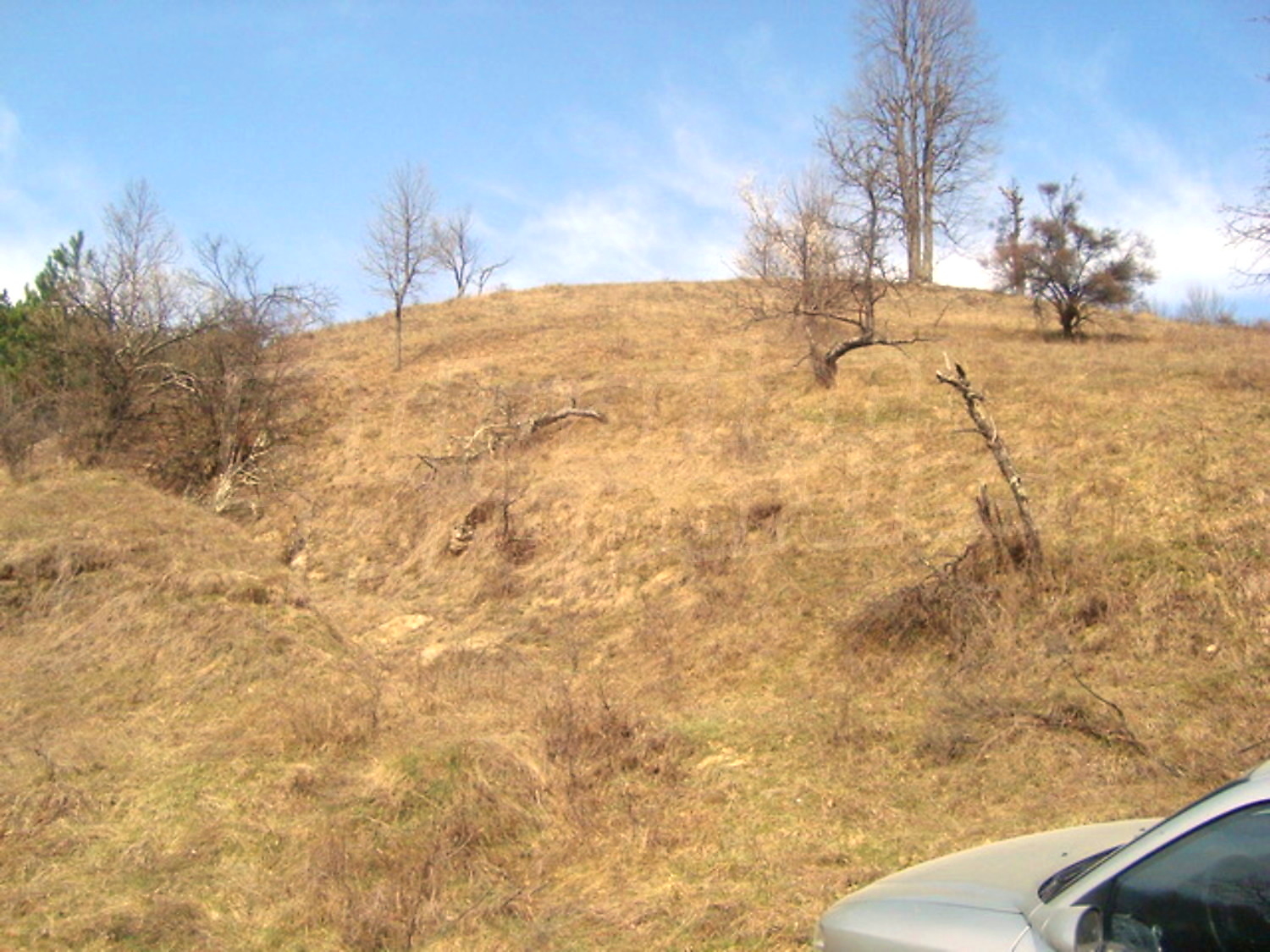 Gallery Picture 15