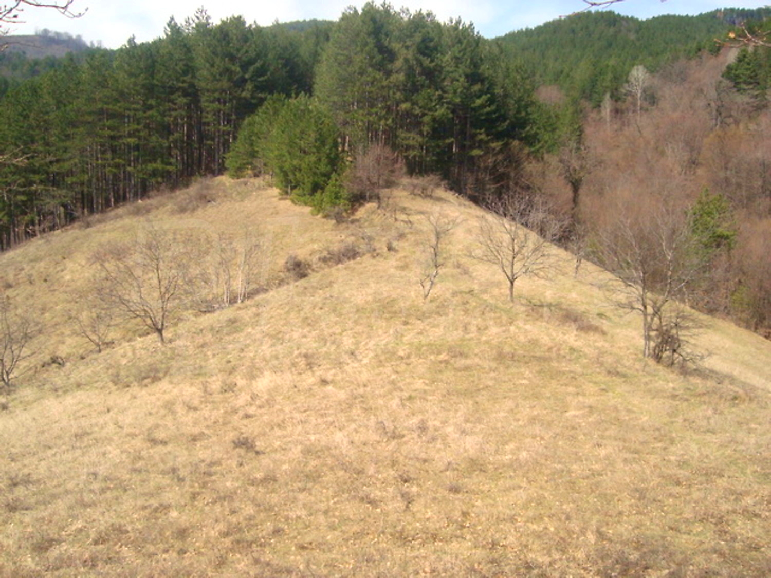 Gallery Picture 7