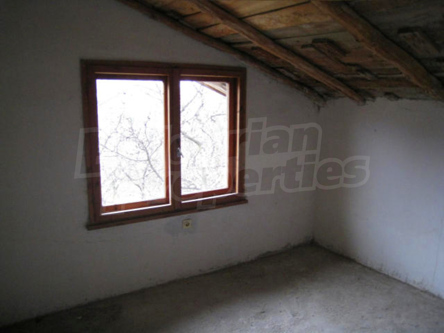 Gallery Picture 17