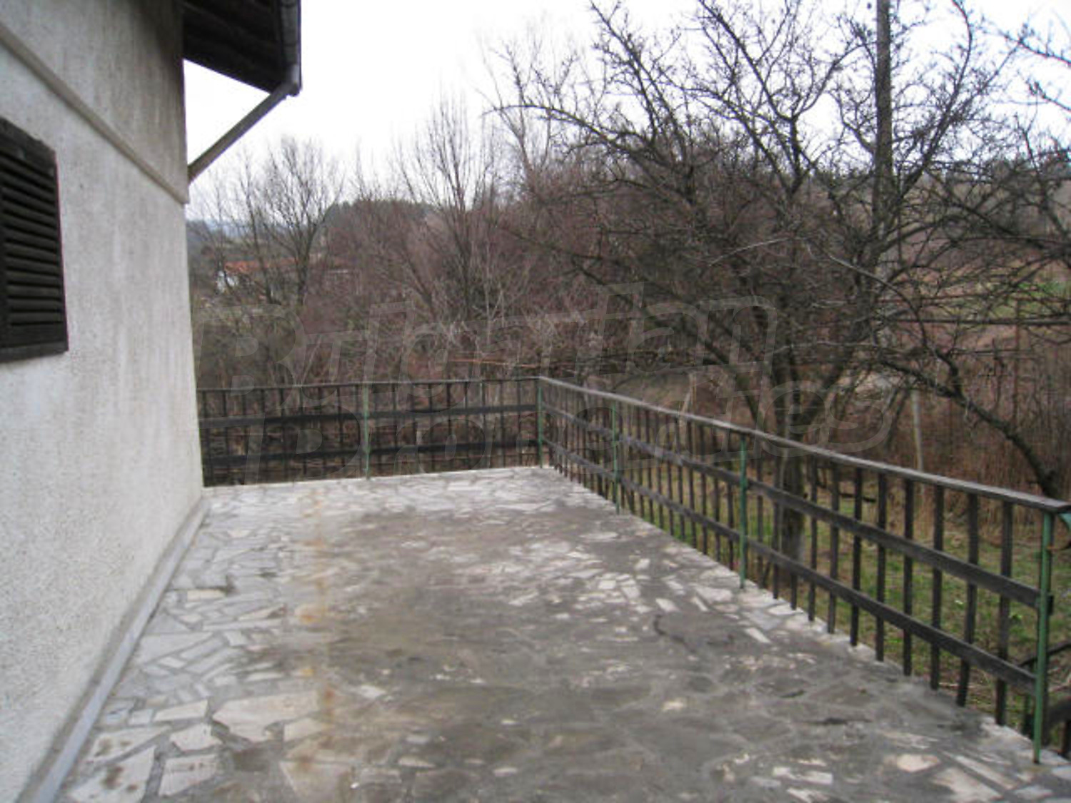 Gallery Picture 19