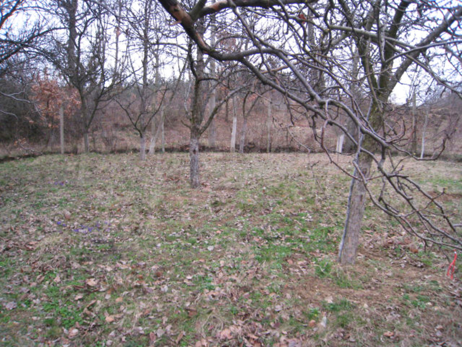 Gallery Picture 25