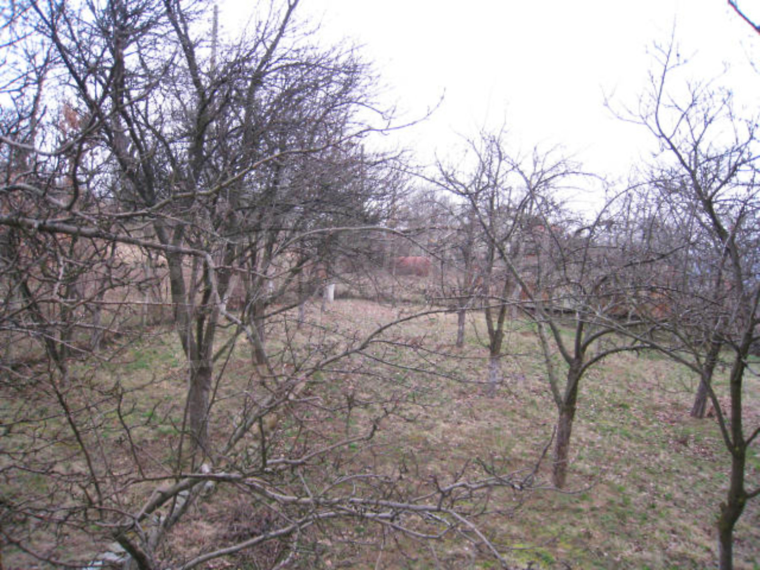 Gallery Picture 27