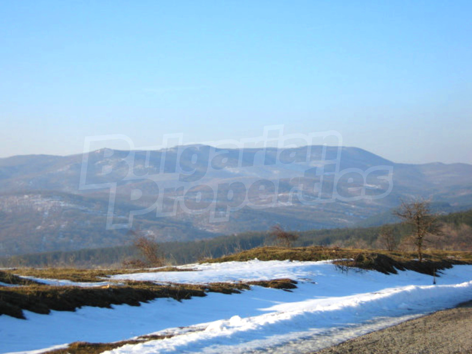 Gallery Picture 29