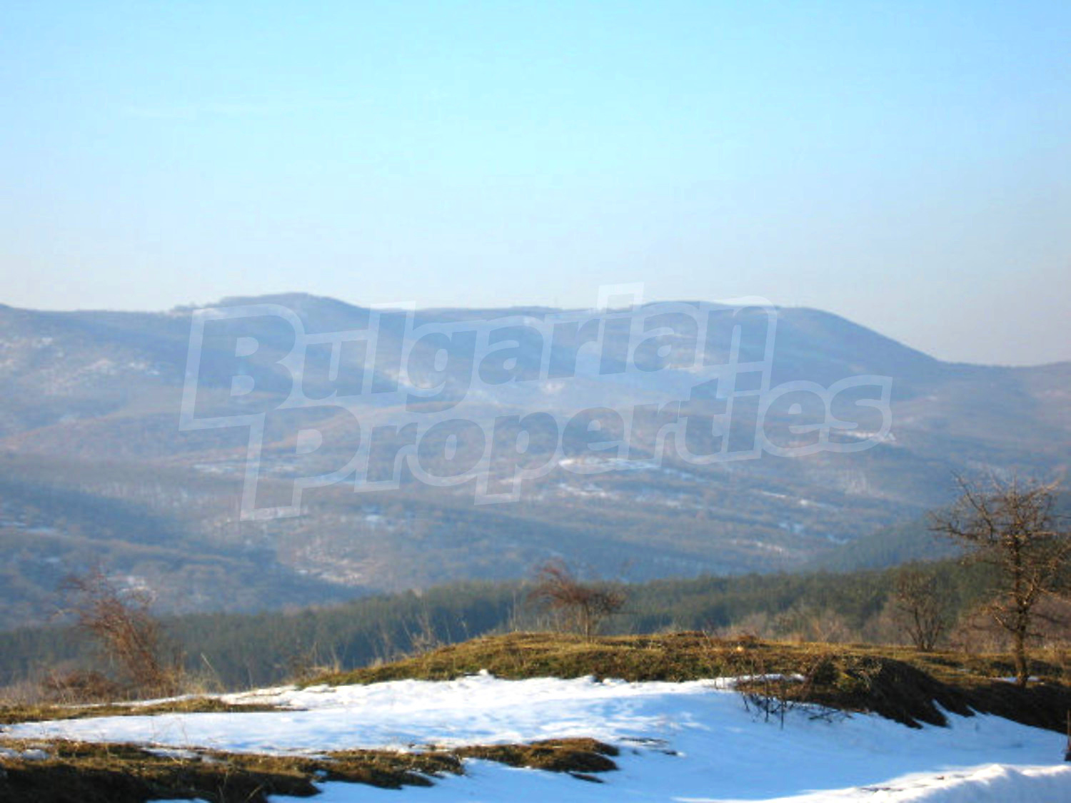 Gallery Picture 30