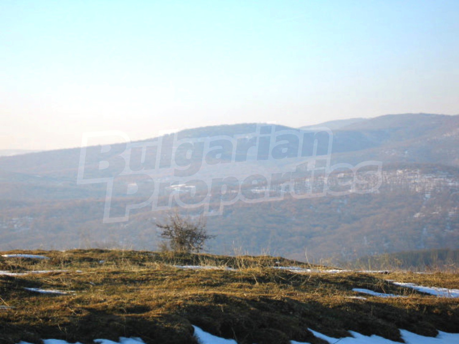 Gallery Picture 31