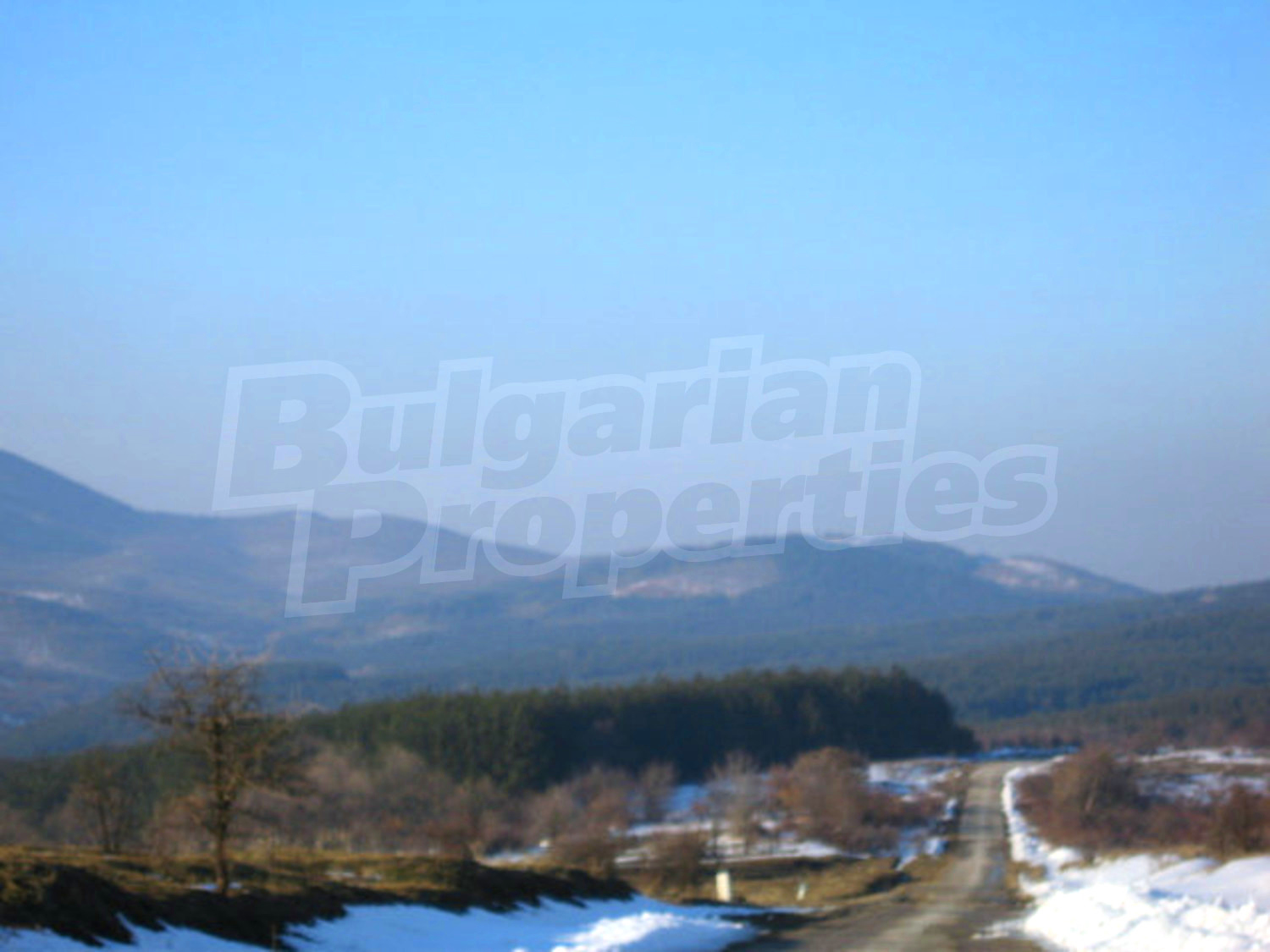 Gallery Picture 32