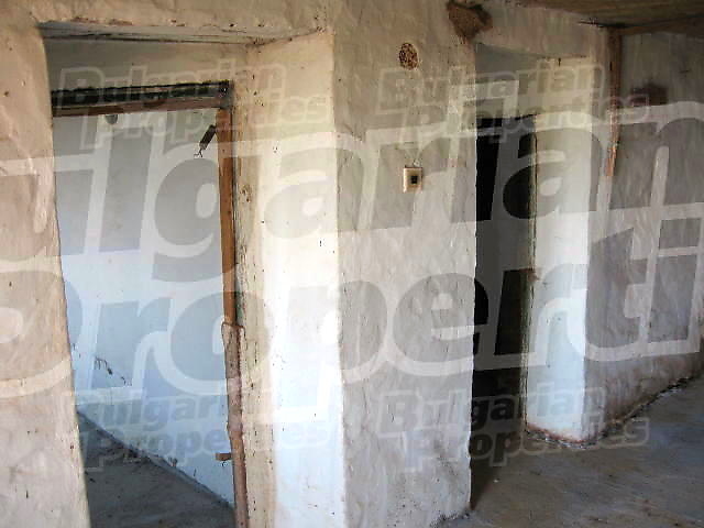 Gallery Picture 35