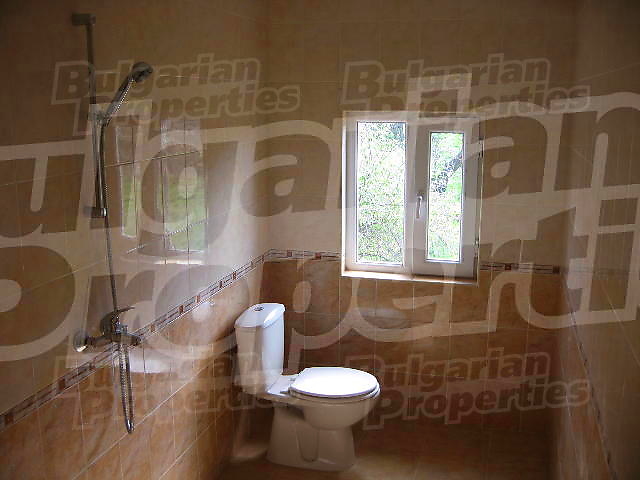 Gallery Picture 36