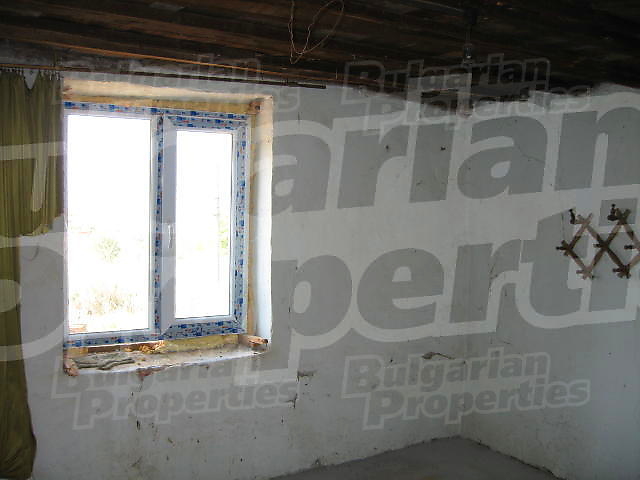 Gallery Picture 37