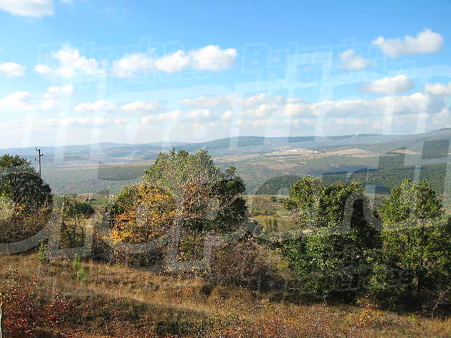 Gallery Picture 40