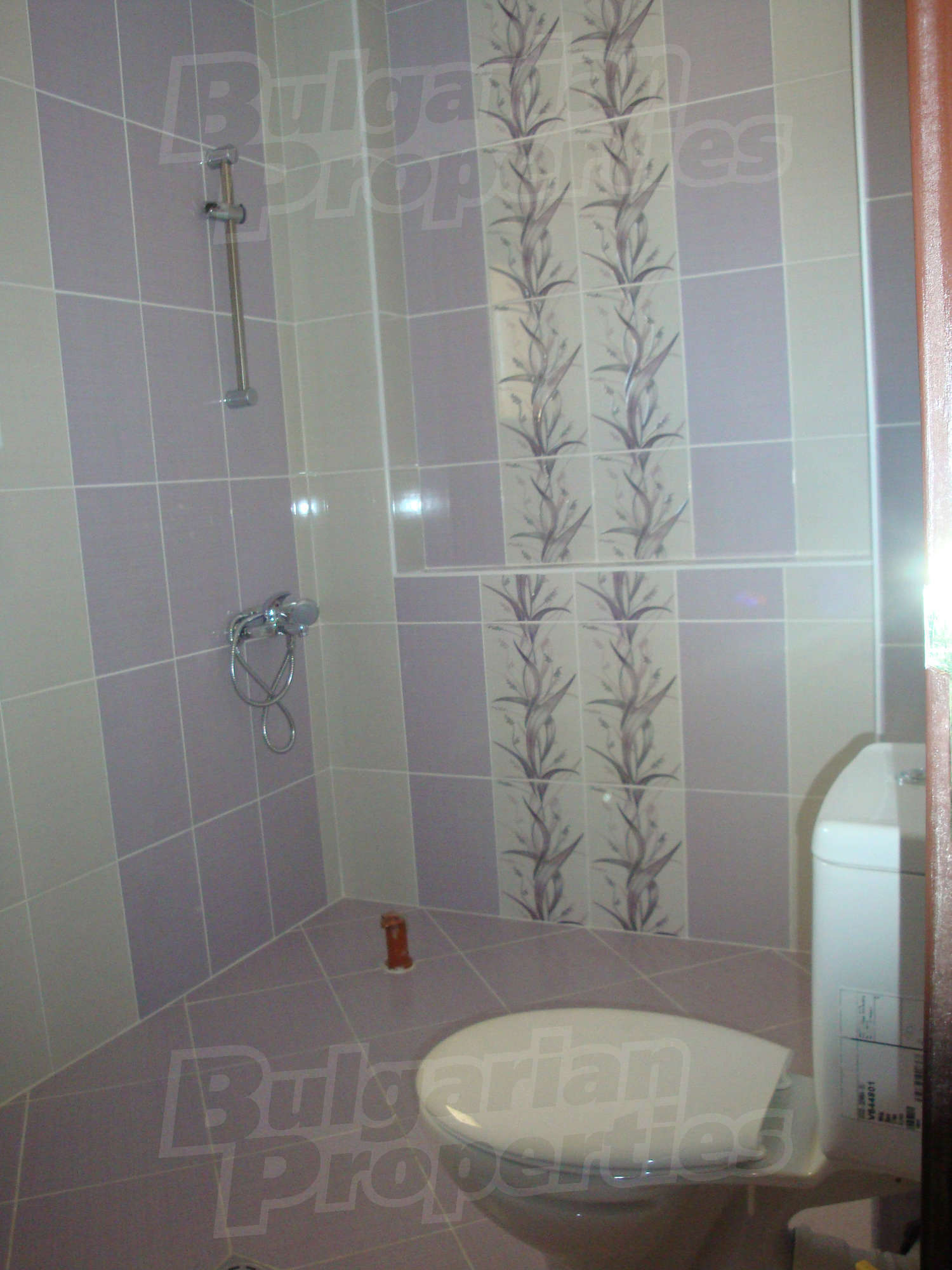 Gallery Picture 12