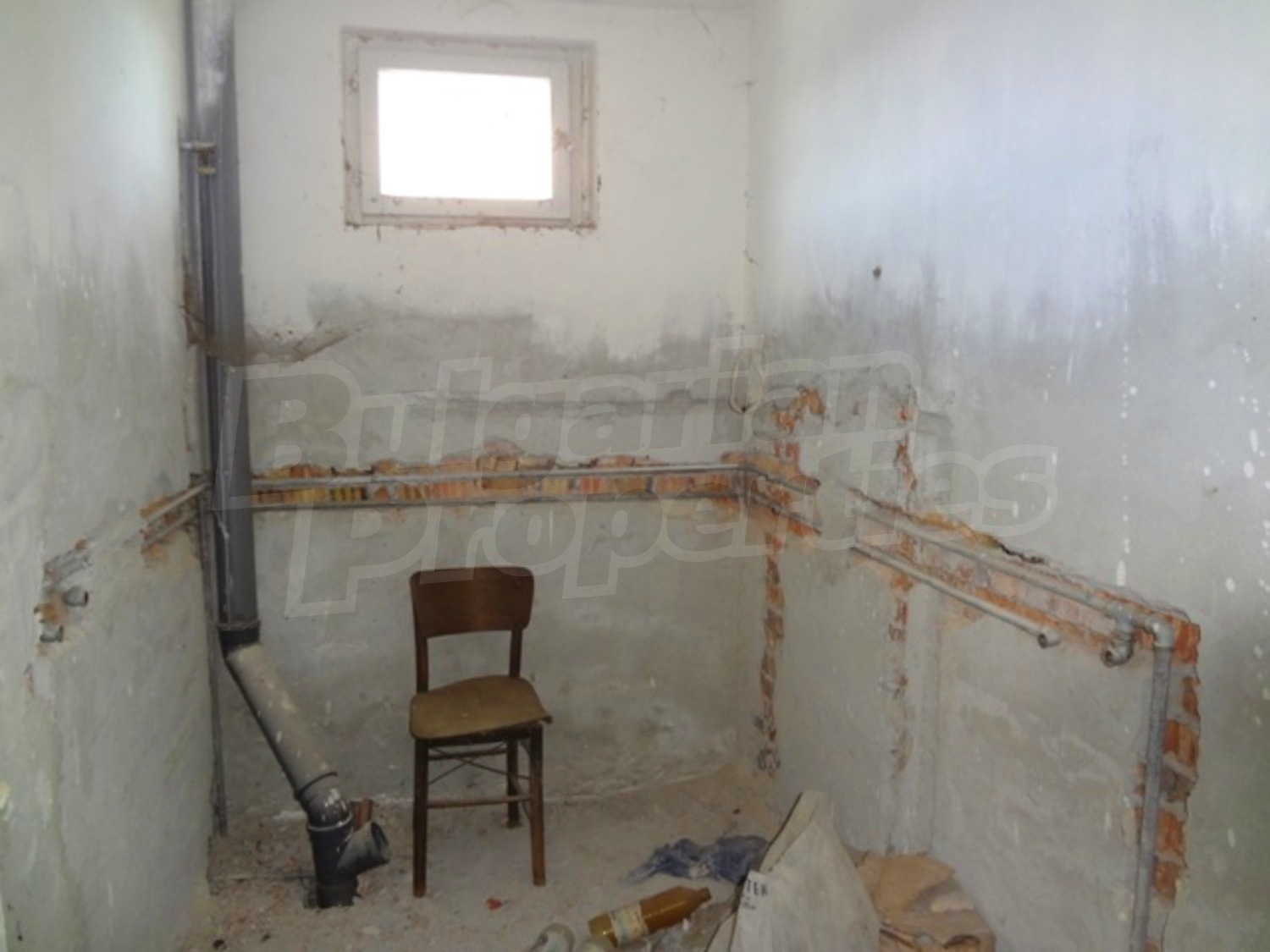 Gallery Picture 10