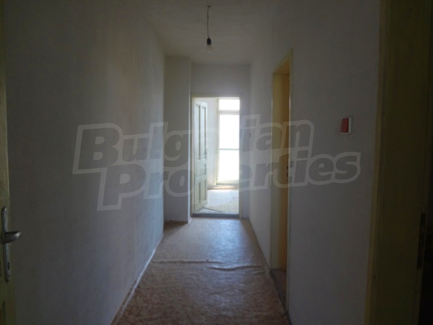 Gallery Picture 16