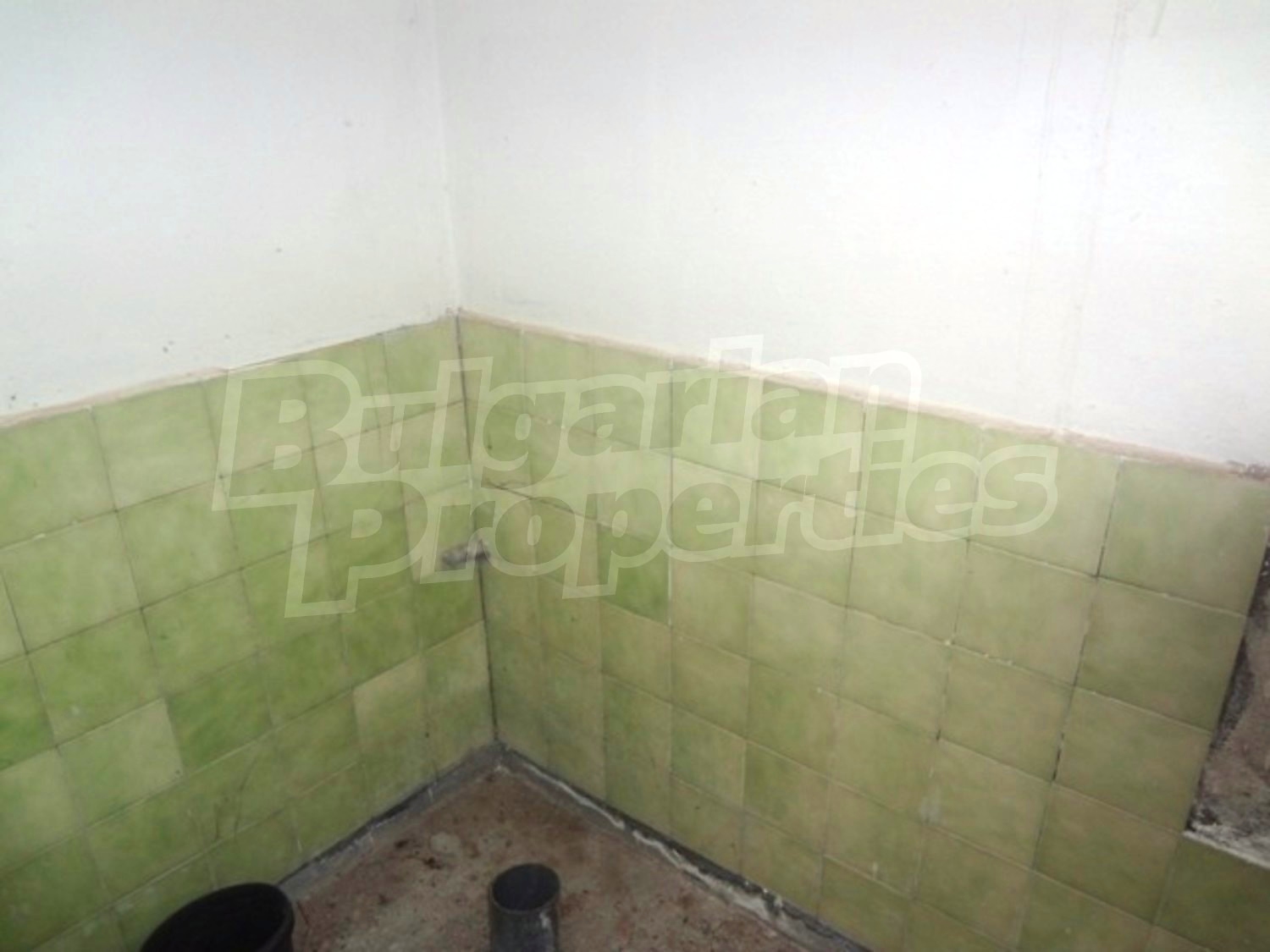 Gallery Picture 17