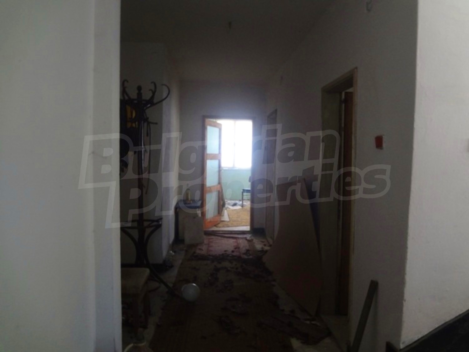 Gallery Picture 23