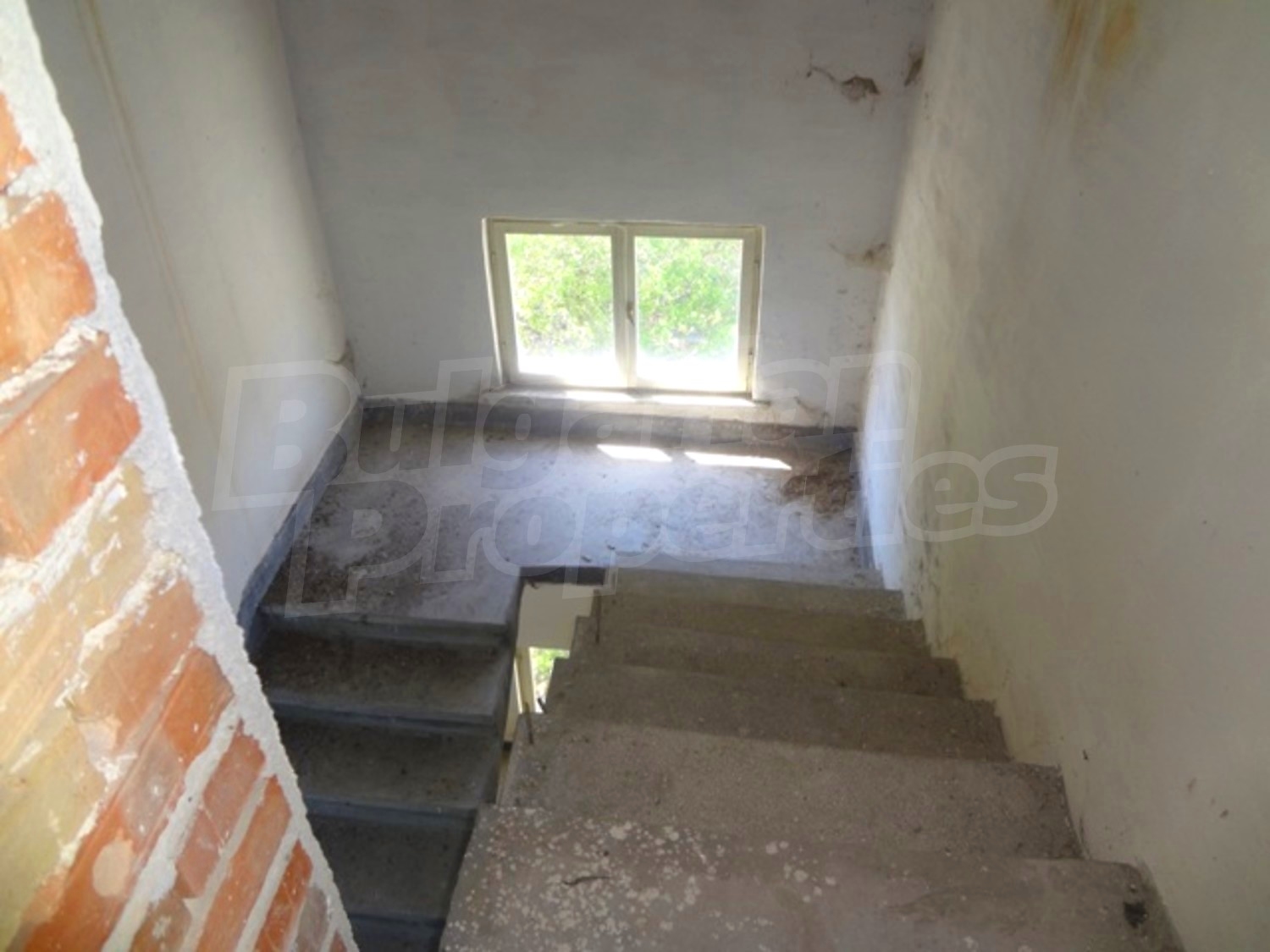 Gallery Picture 30