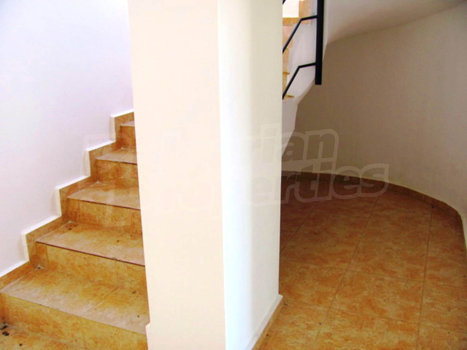 Gallery Picture 17