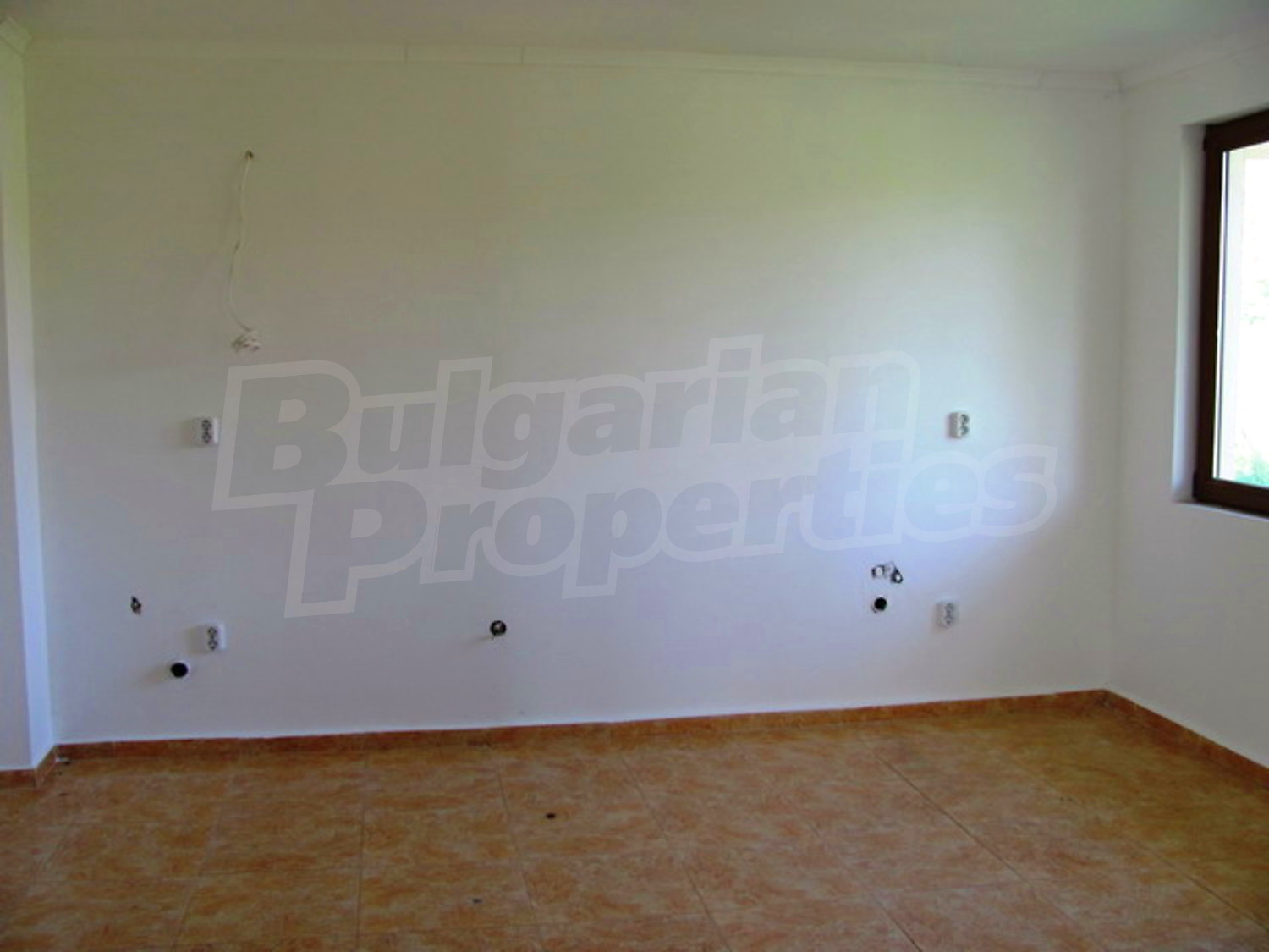 Gallery Picture 22