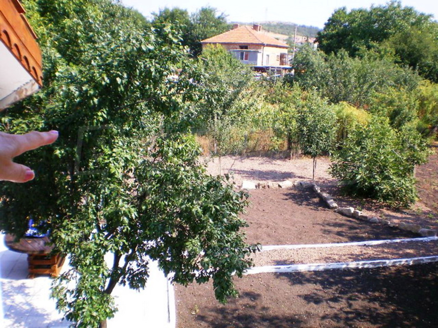 Gallery Picture 21