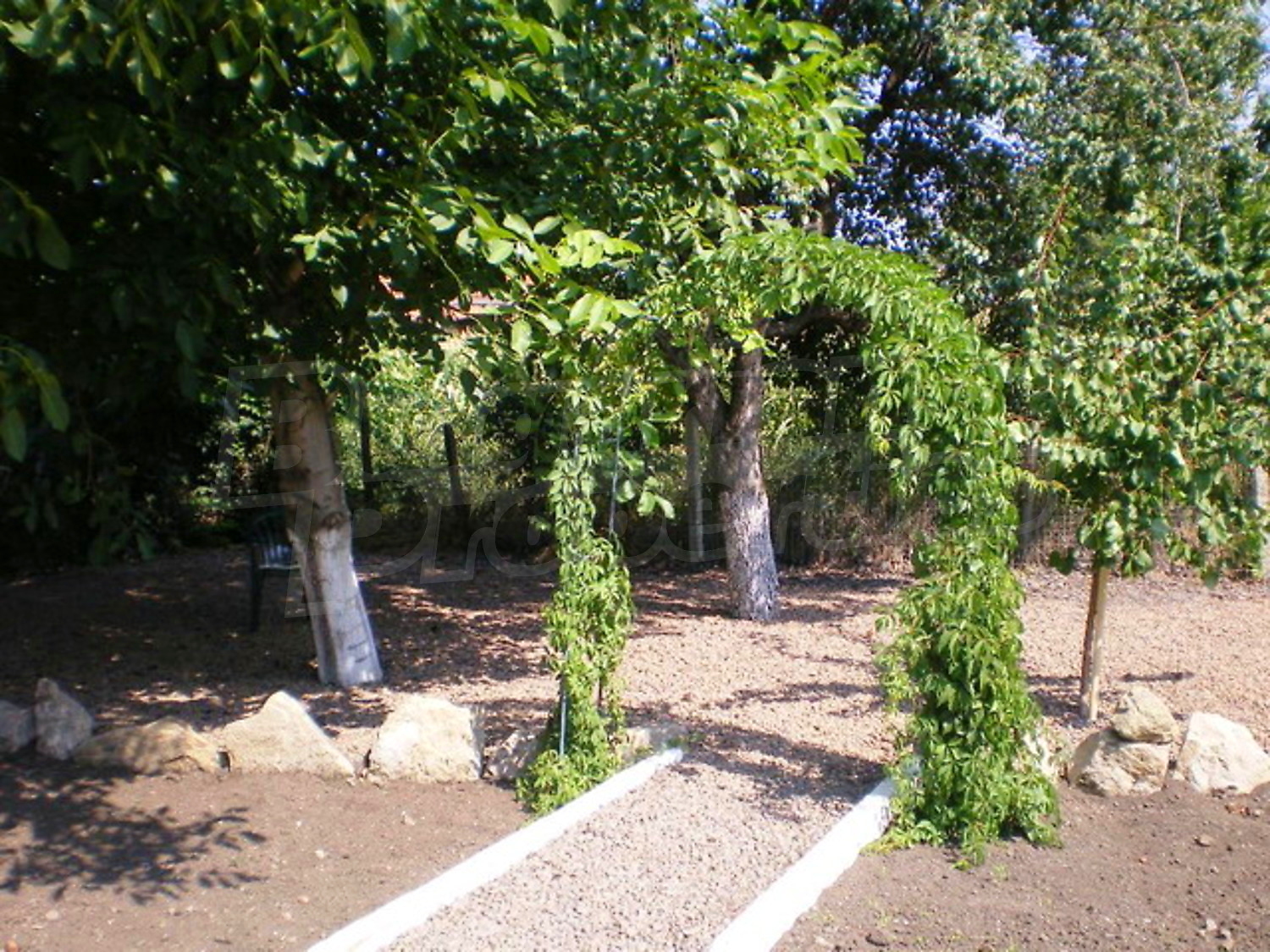 Gallery Picture 23