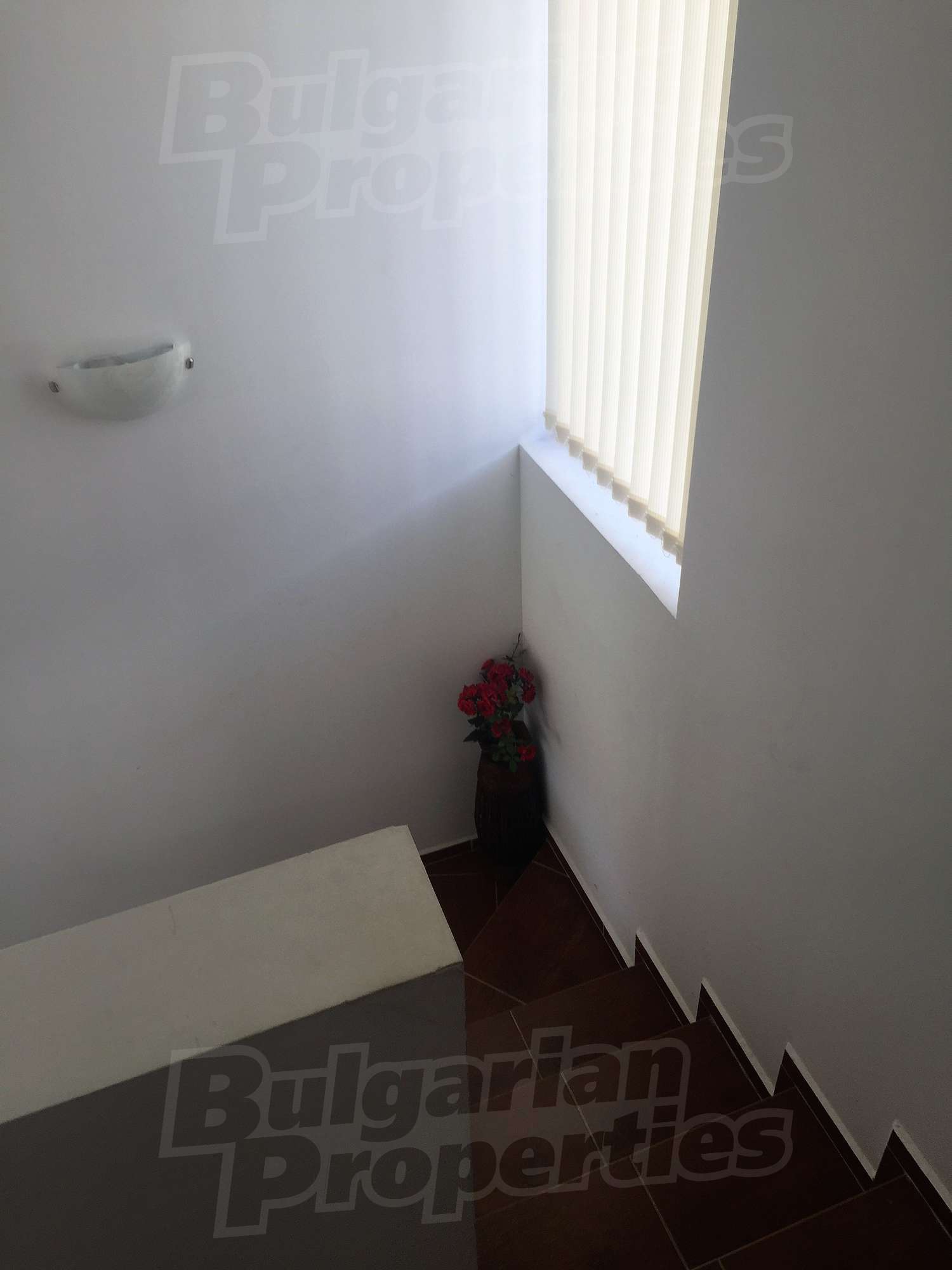 Gallery Picture 41