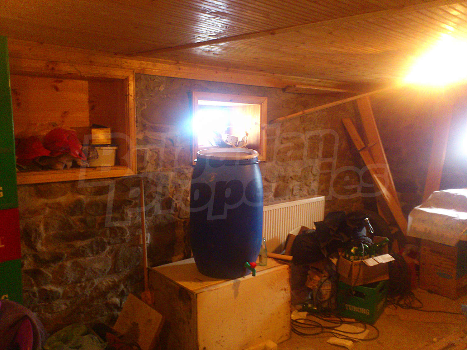 Gallery Picture 14
