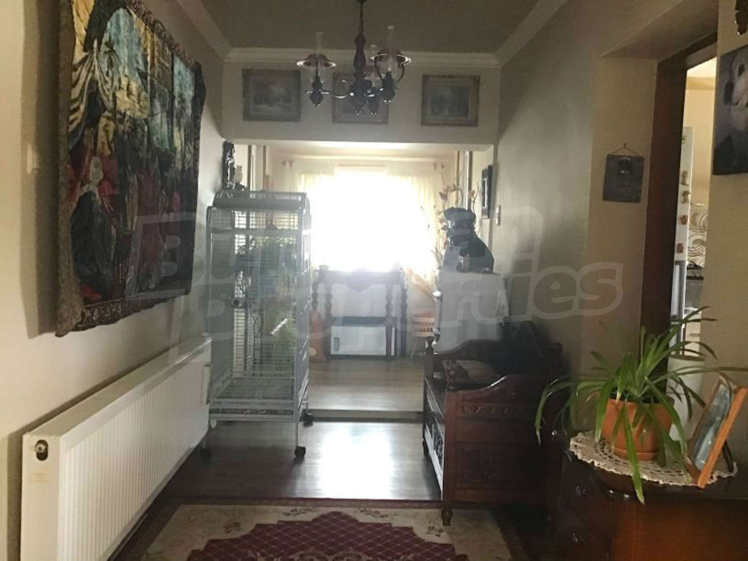 Gallery Picture 10