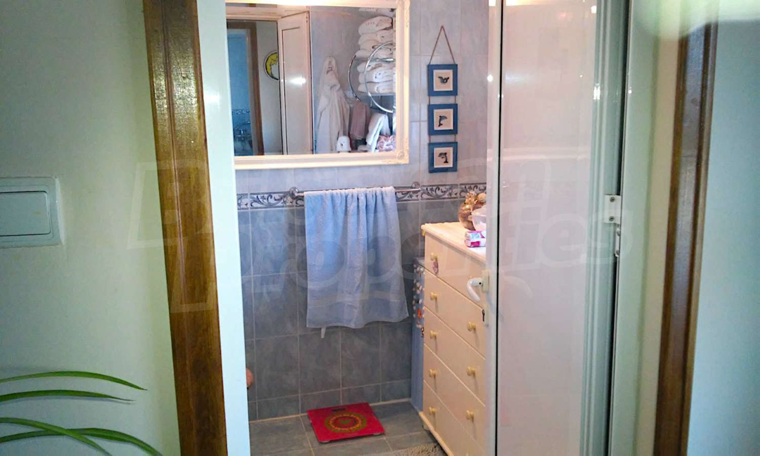Gallery Picture 28