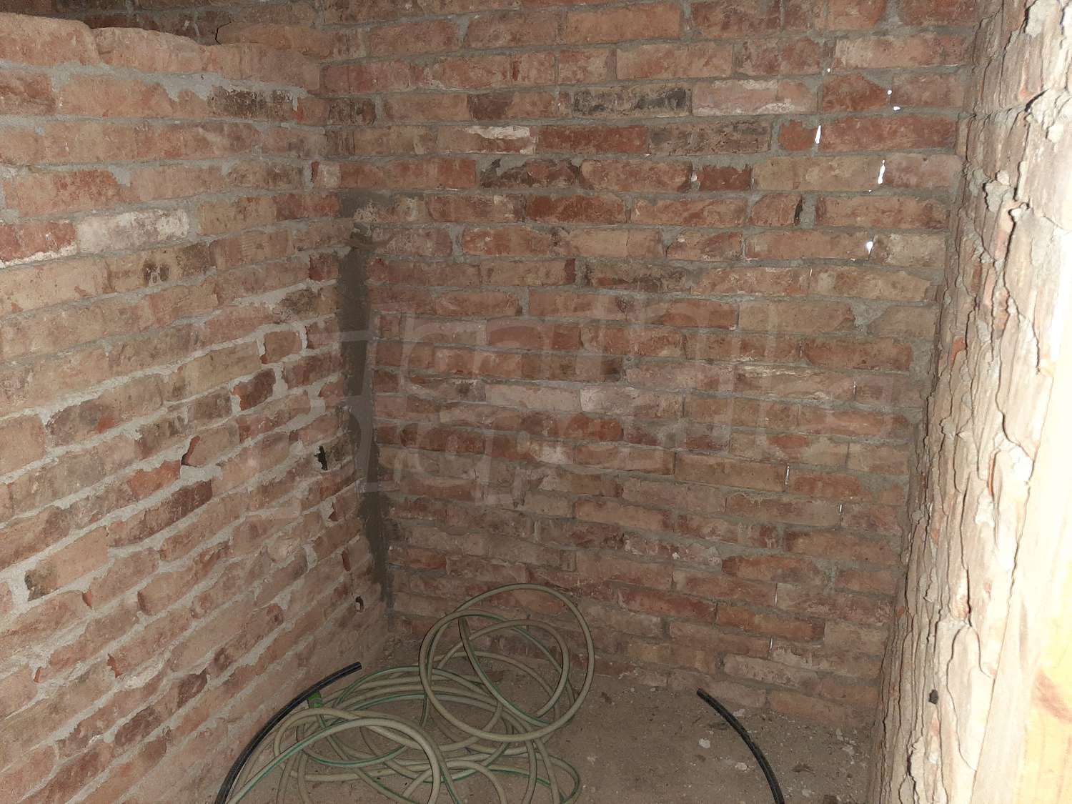 Gallery Picture 10