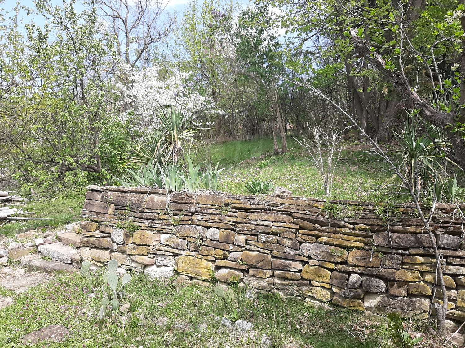 Gallery Picture 23
