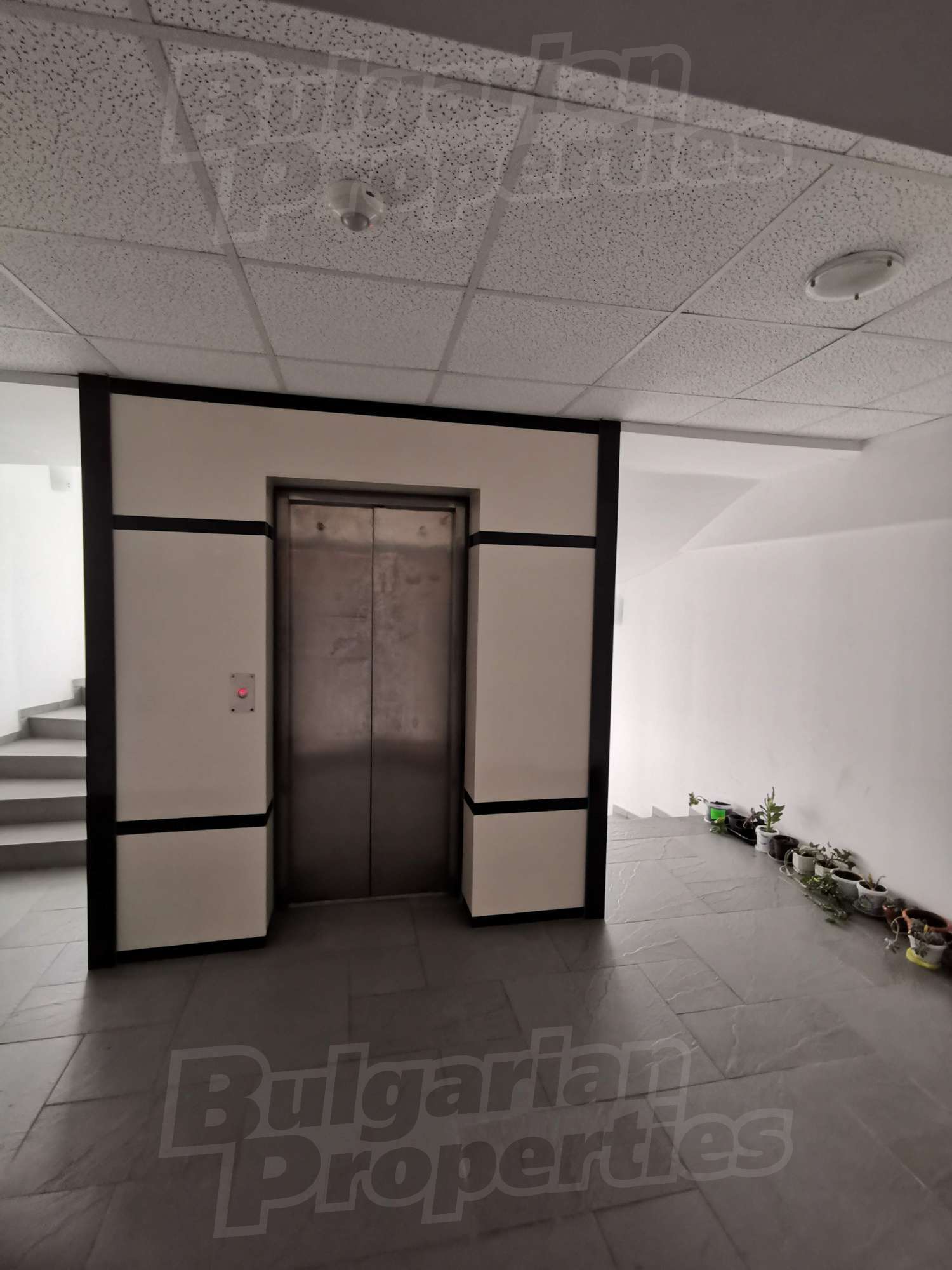 Gallery Picture 21