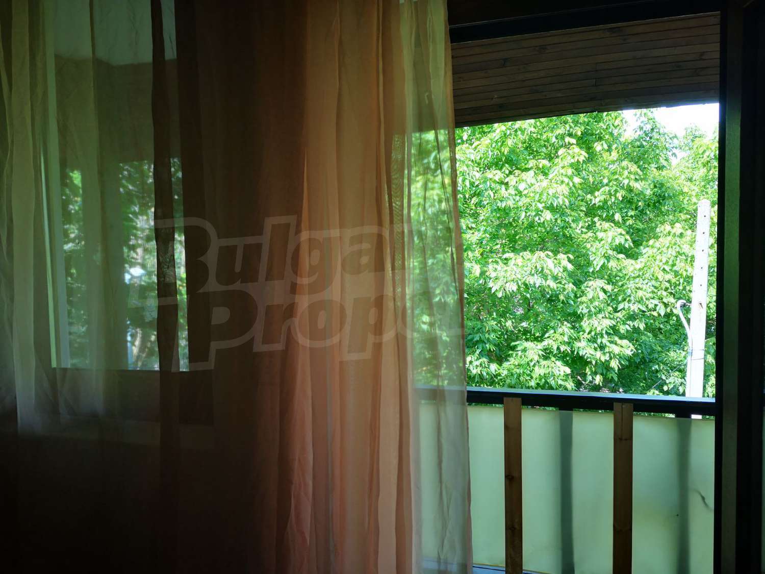 Gallery Picture 11