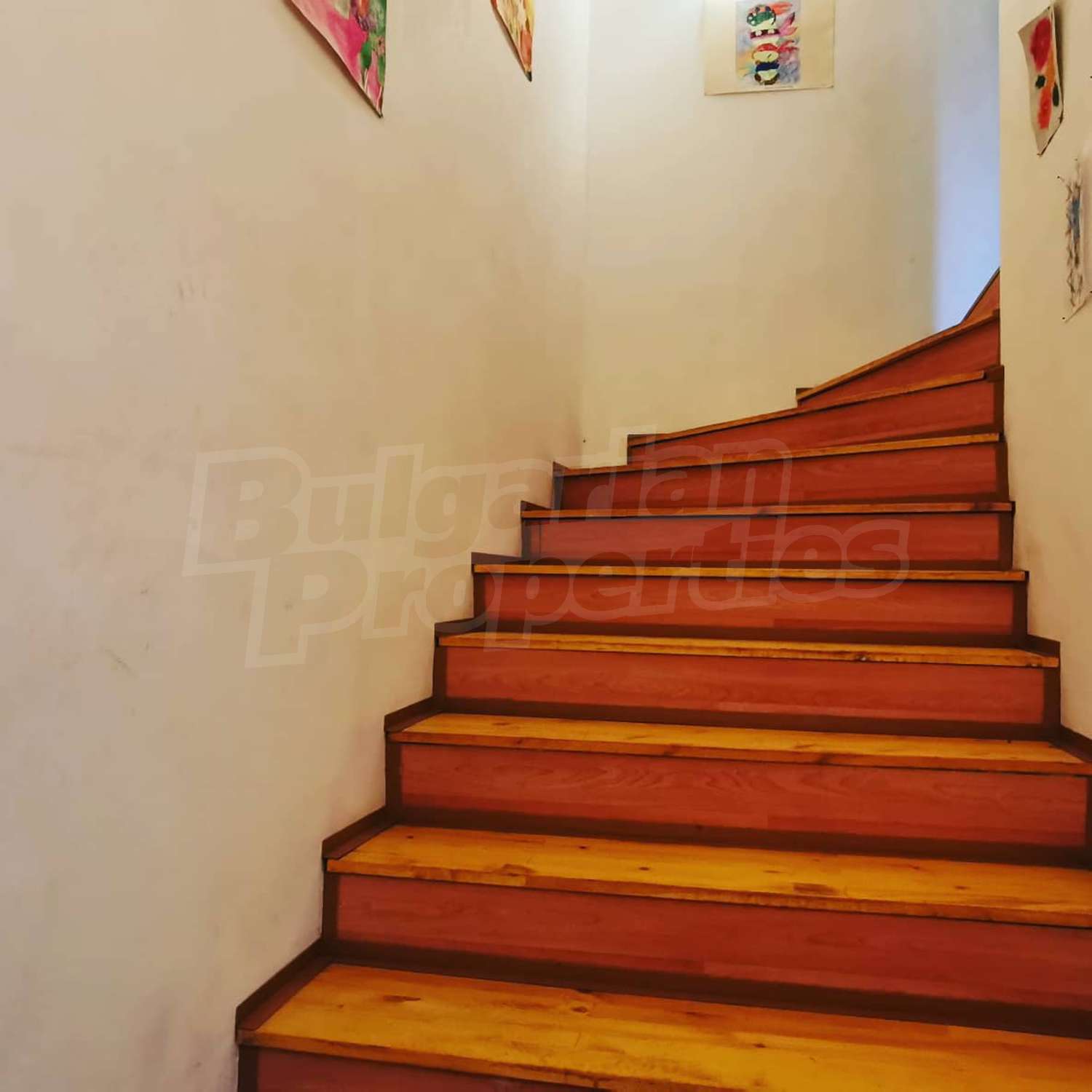Gallery Picture 18