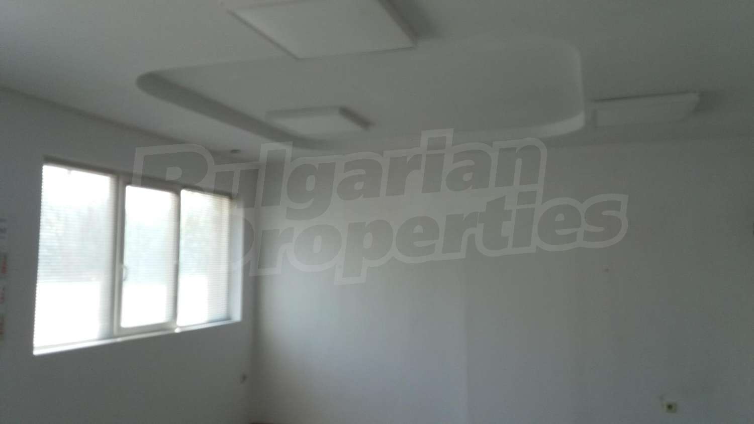 Gallery Picture 6