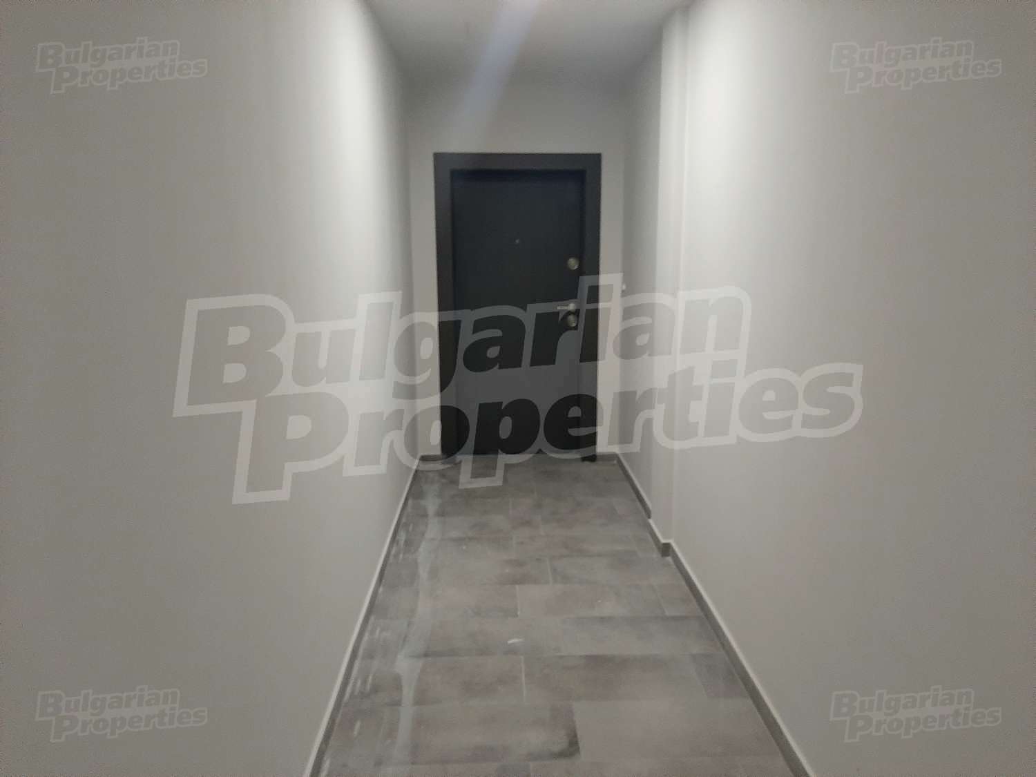Gallery Picture 8