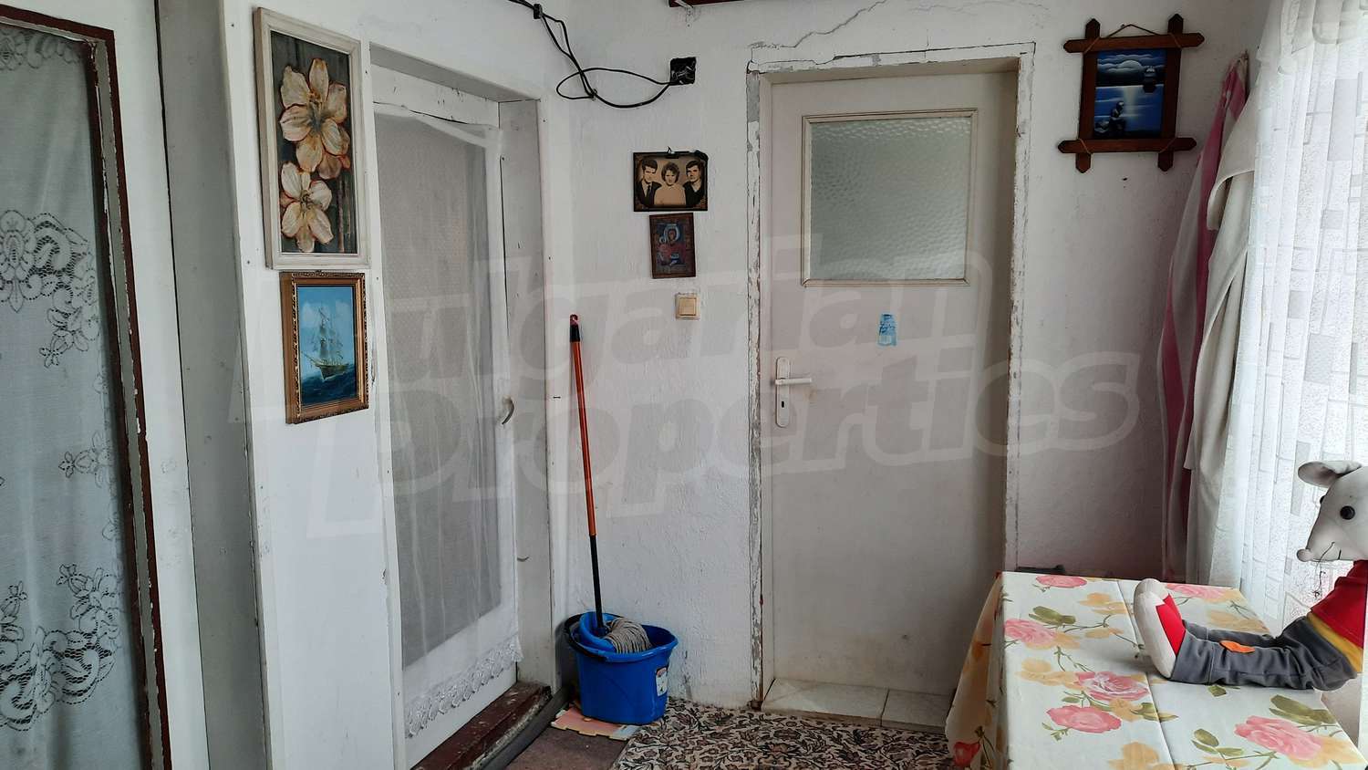 Gallery Picture 17