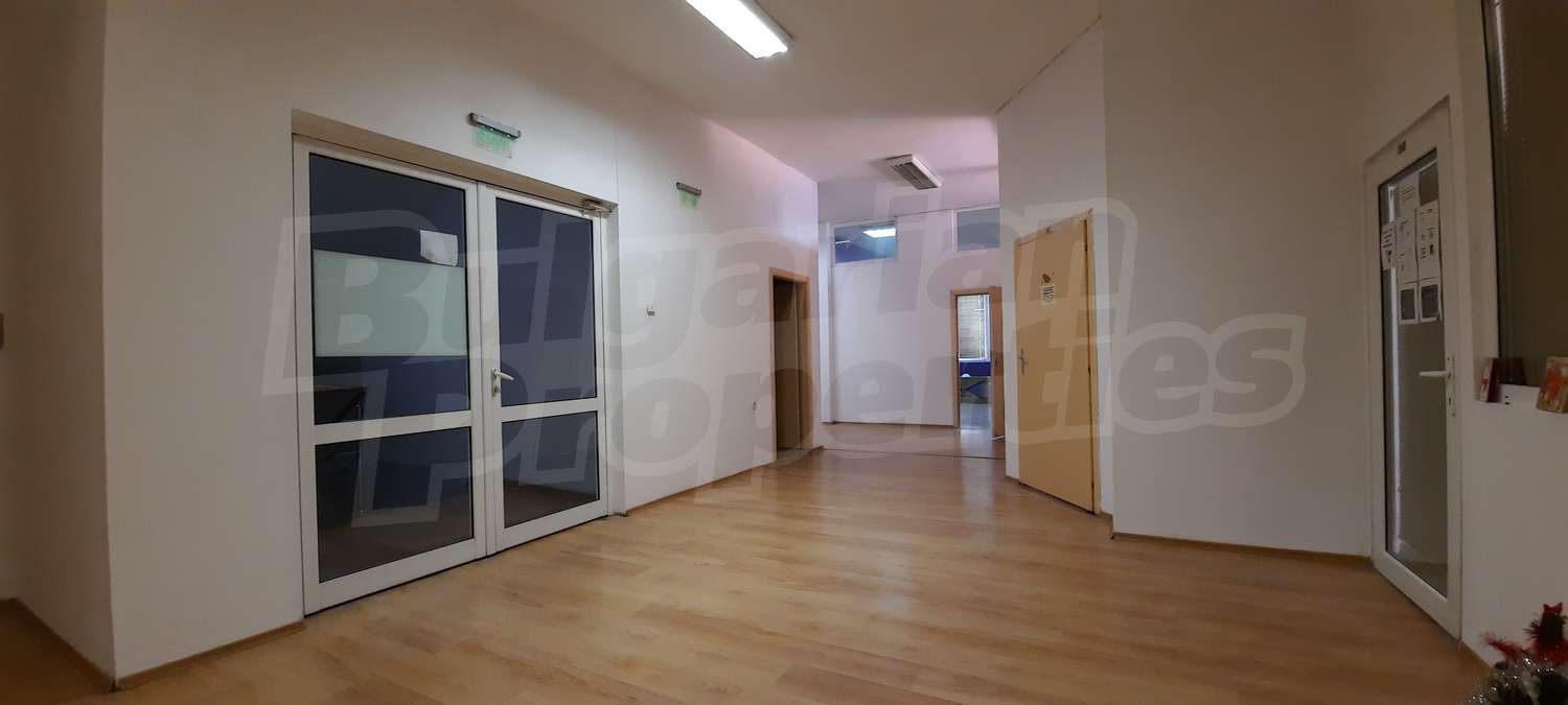Gallery Picture 11