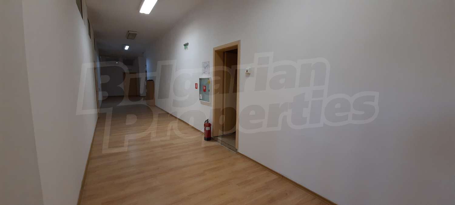 Gallery Picture 15