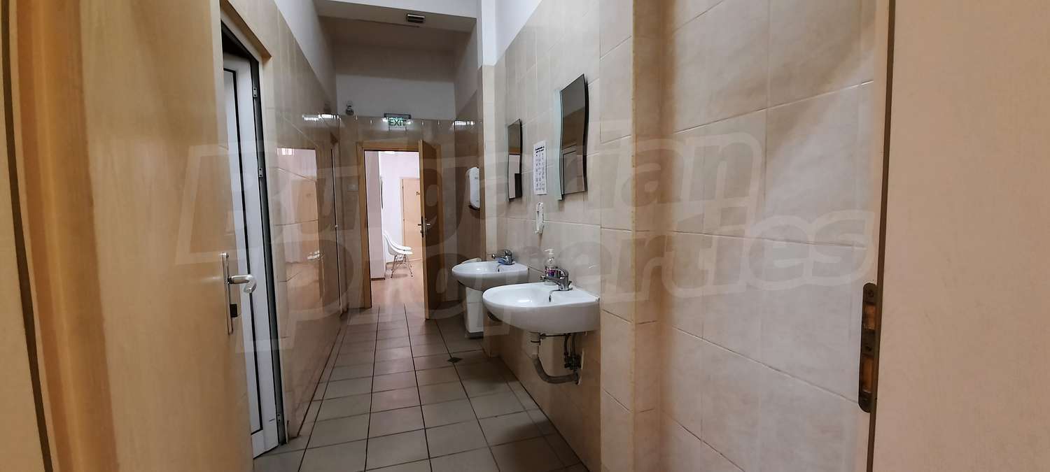 Gallery Picture 16