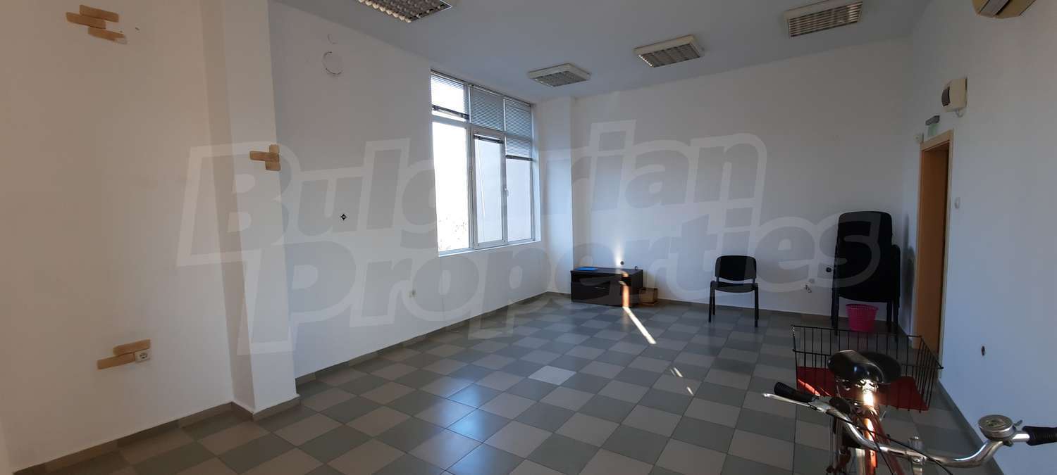 Gallery Picture 7