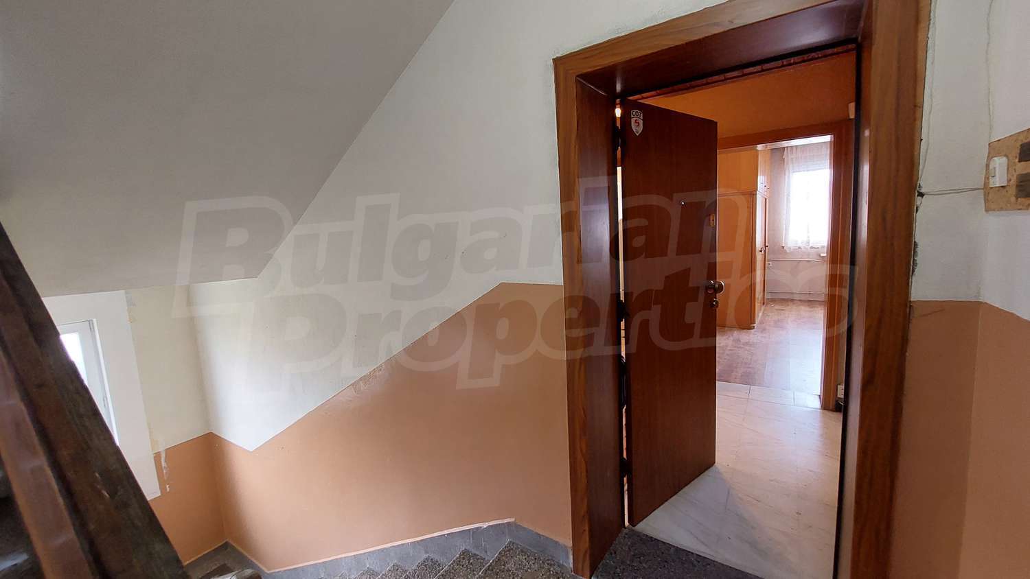 Gallery Picture 14