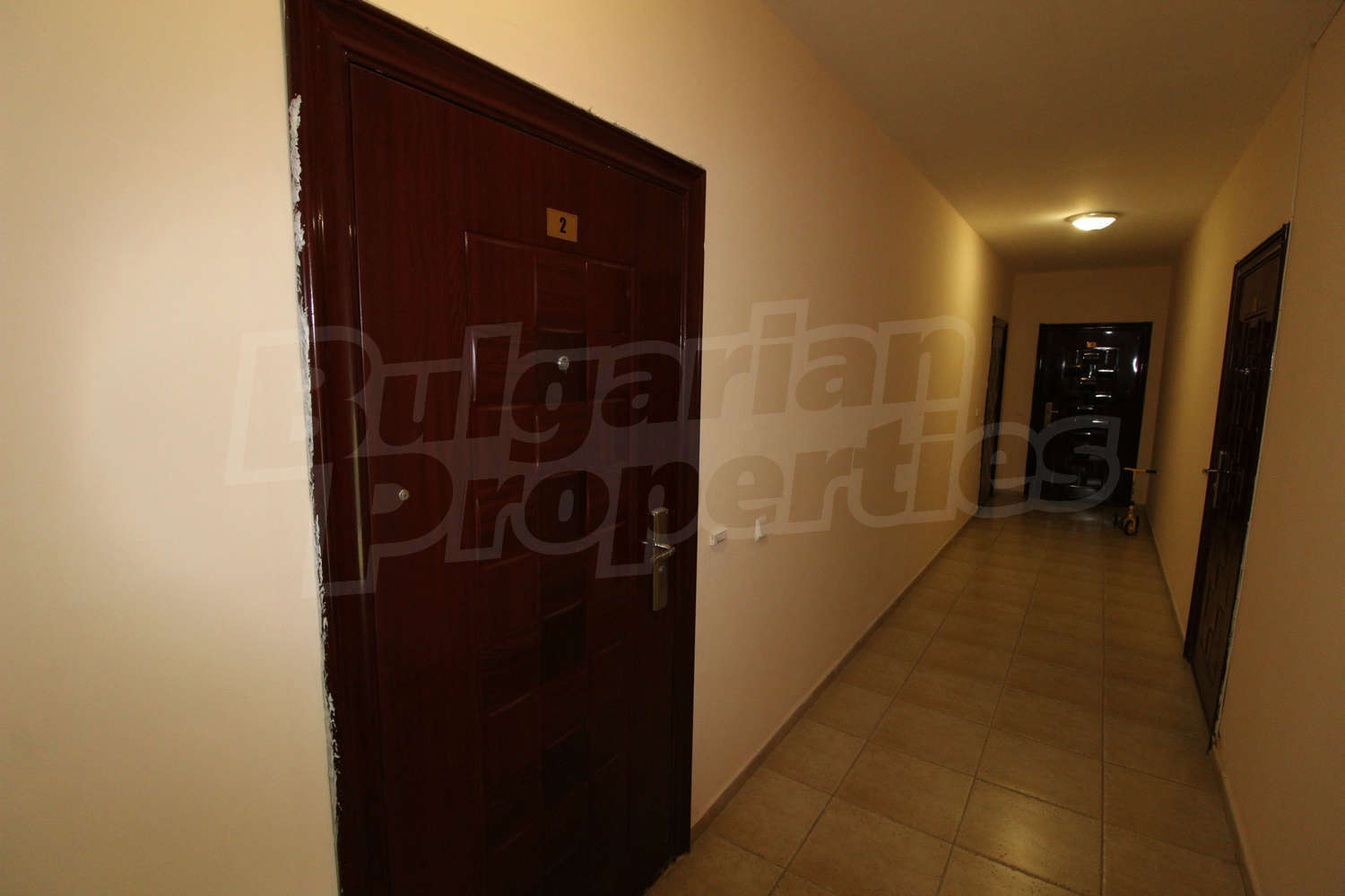 Gallery Picture 27
