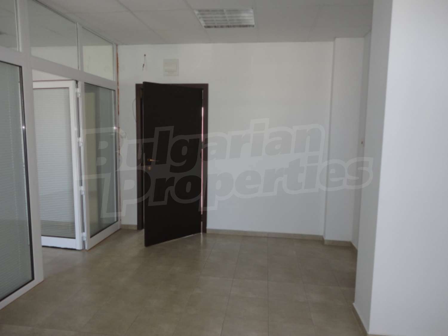 Gallery Picture 5