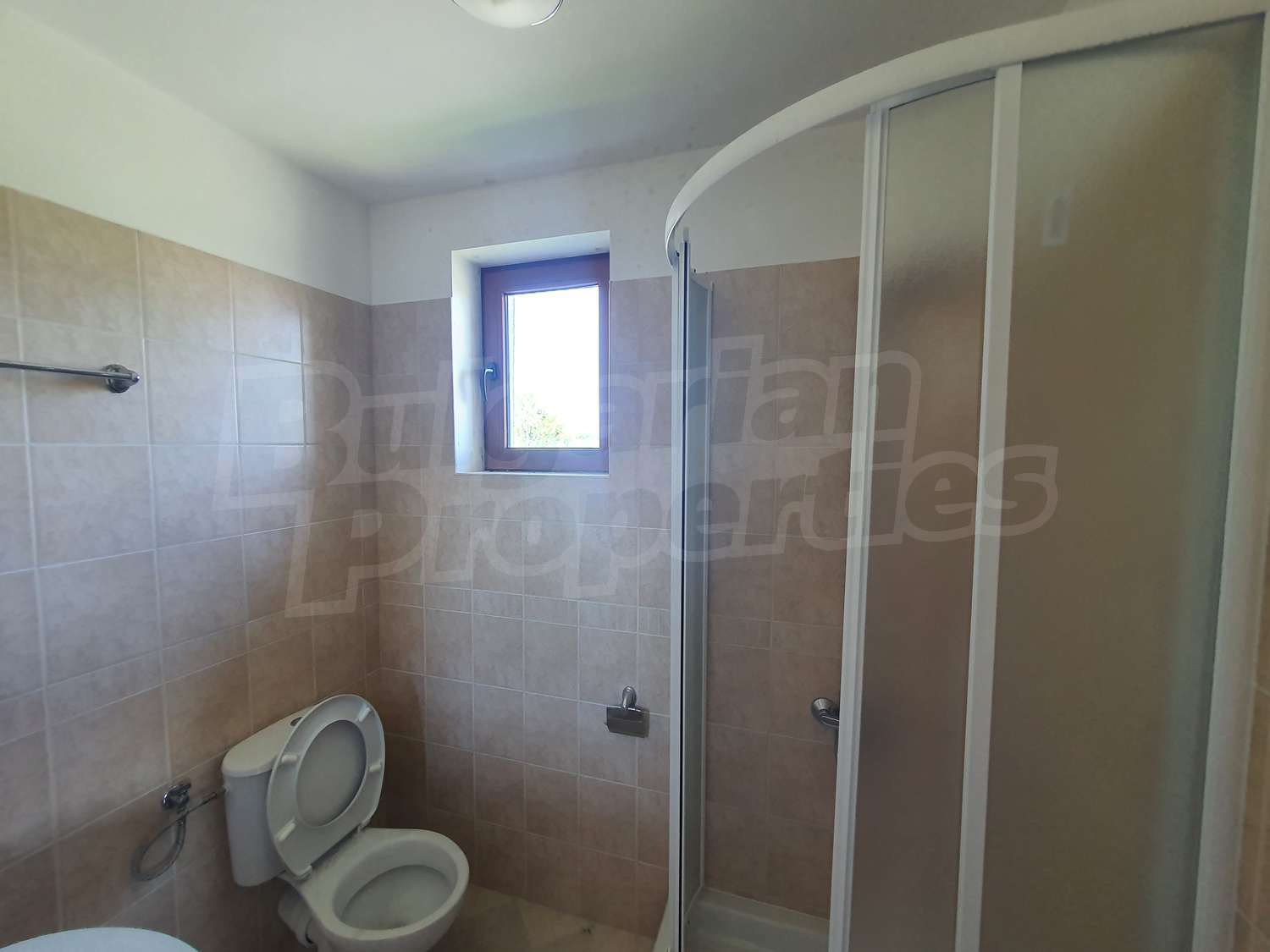 Gallery Picture 31